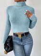 Skye Turtleneck Sweater