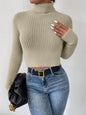 Skye Turtleneck Sweater