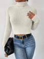 Skye Turtleneck Sweater